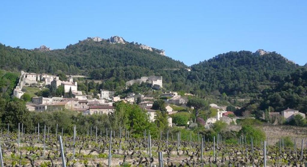 Le Mas De L'Amandier Bed & Breakfast Saint-Saturnin-les-Avignon Bagian luar foto