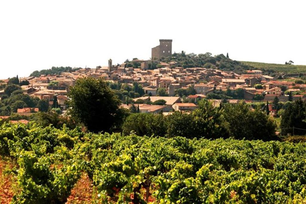 Le Mas De L'Amandier Saint-Saturnin-les-Avignon Bagian luar foto